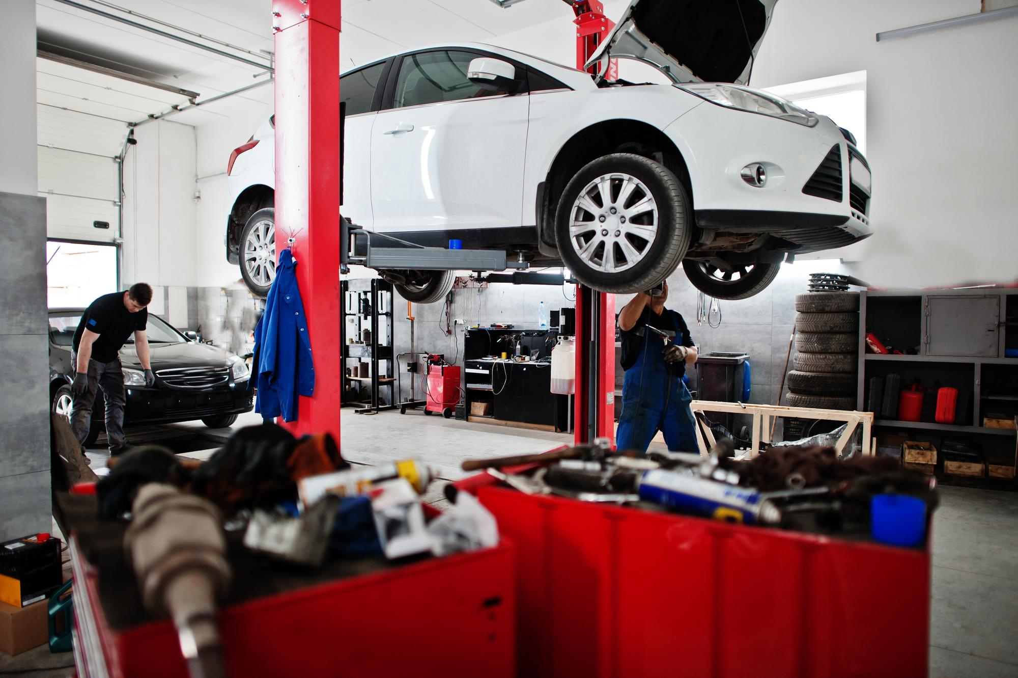 Specialized Services